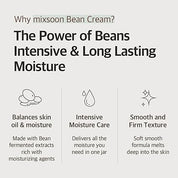 Bean cream