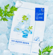 No.4 Icy Soothing Sheet Mask